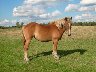 JD500065_zmiana rozmiaru.JPG