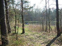IMG_0890.jpg