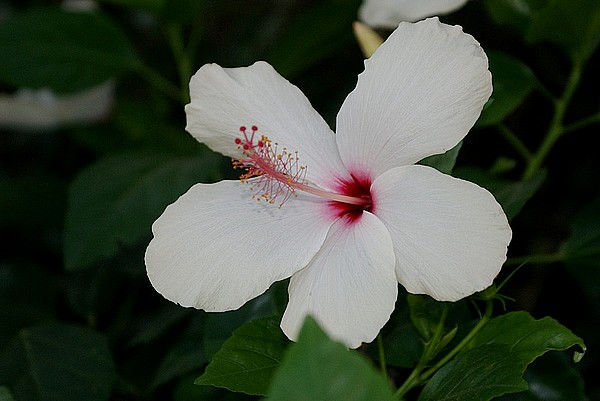 382 - Kopia.JPG