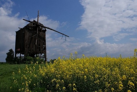 046 (8) - Kopia.JPG