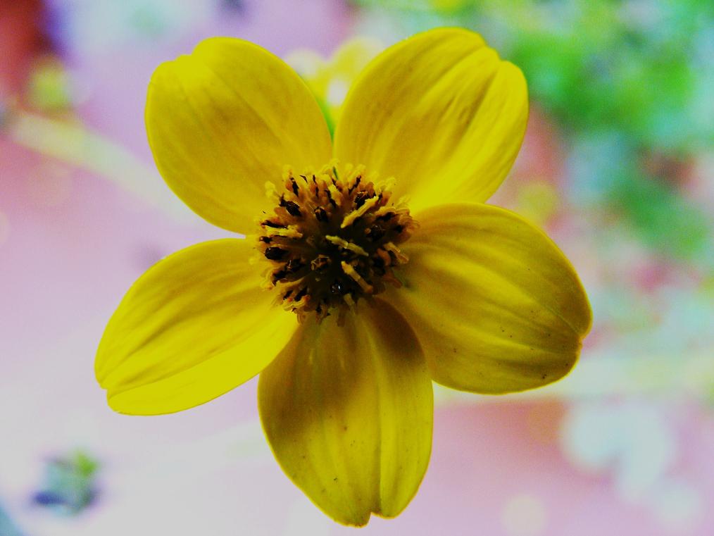 DSCF3072.JPG