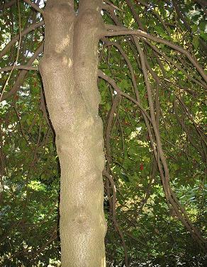 20 kw.2007 177.jpg