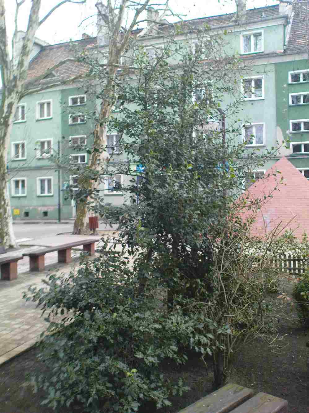 DSC00176.JPG
