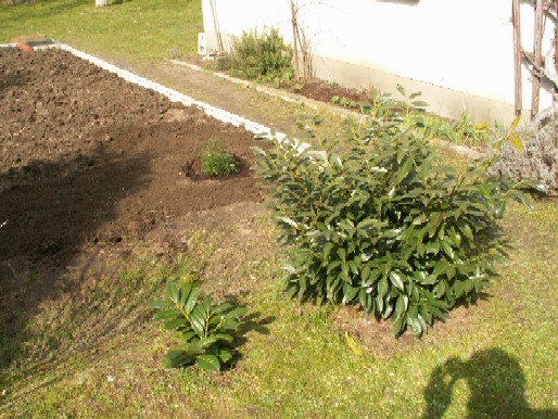 Pict0030.jpg