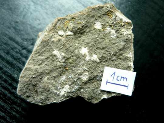 36 AMPHIPORY 01_2.JPG