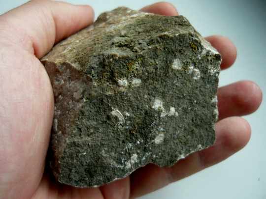 36 AMPHIPORY 02_2.JPG