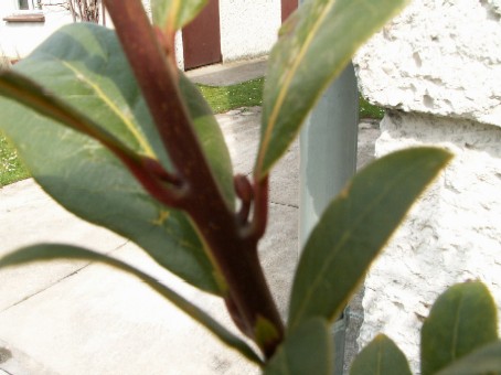 Pict0022.jpg