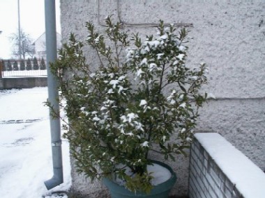 Pict0004.jpg