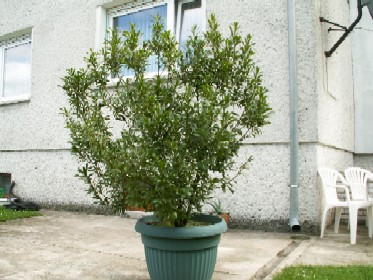 Pict0019.jpg