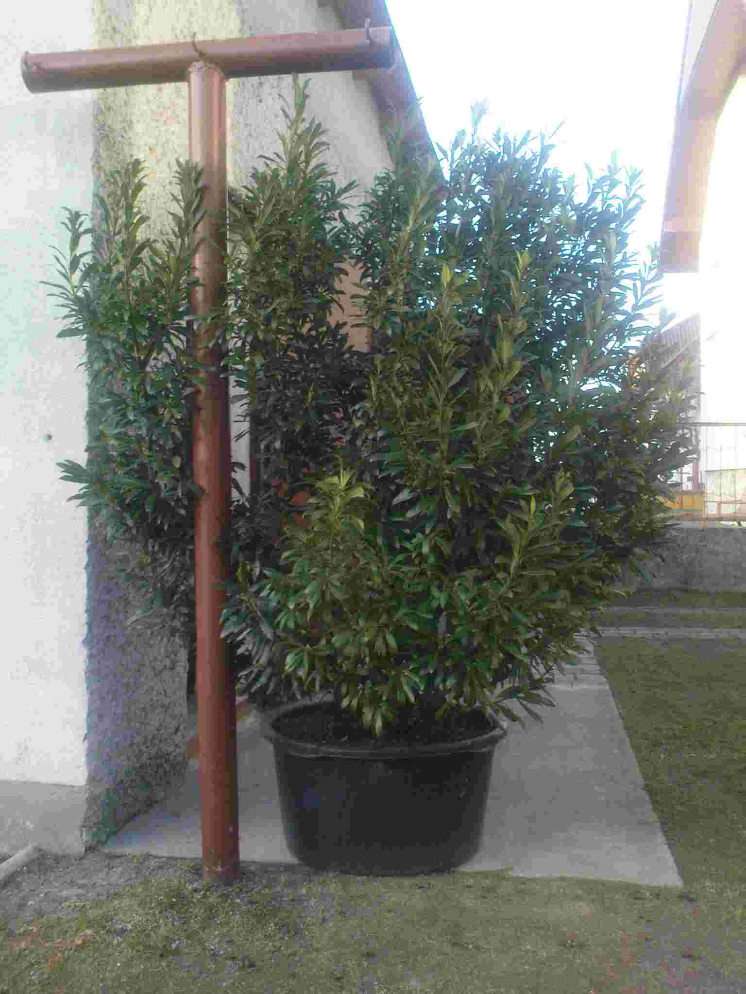 DSC00140.JPG