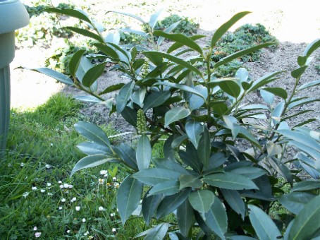 Pict0044.jpg
