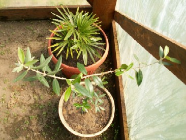 Pict0020.jpg