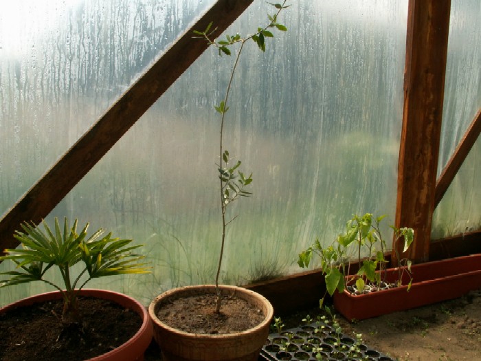 Pict0027.jpg