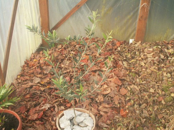 Pict0103.jpg