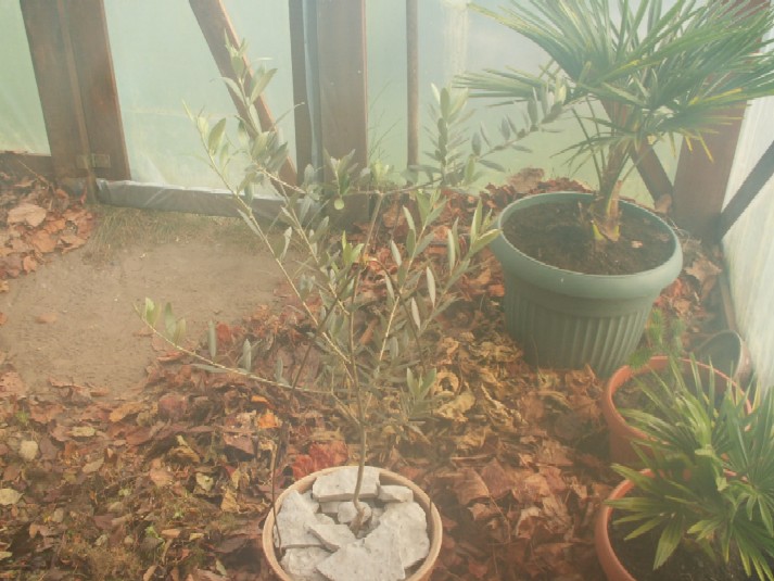 Pict0104.jpg