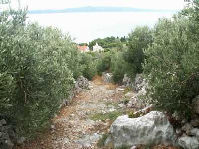 Pict0023.jpg