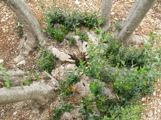 Pict0028.jpg