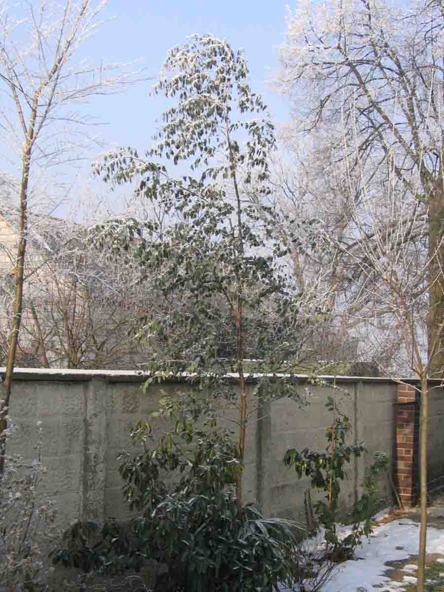 1IMG_2527.jpg