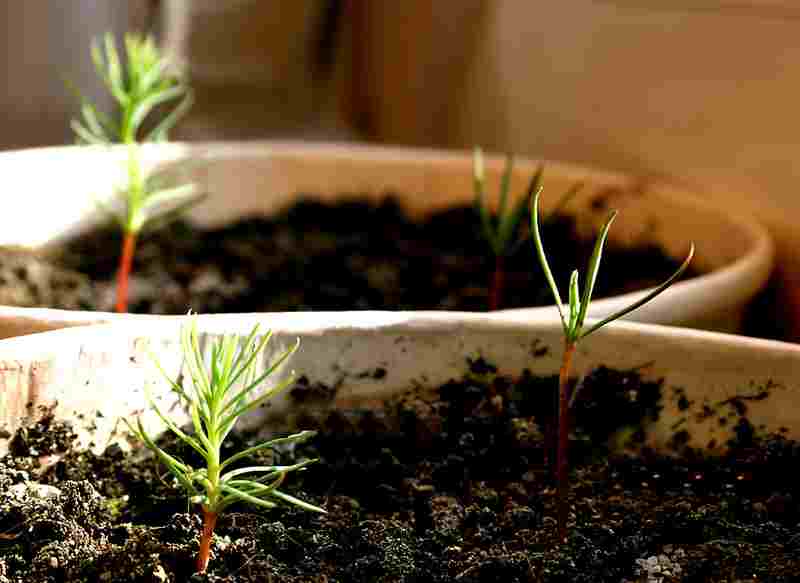 2011 07 24_98081.jpg