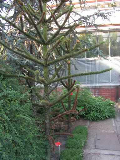 PICT0015a_2.jpg