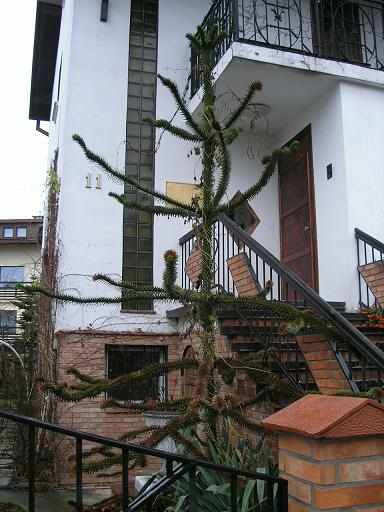 GDANSK OSIEDLE PANA TADEUSZAa_2.jpg
