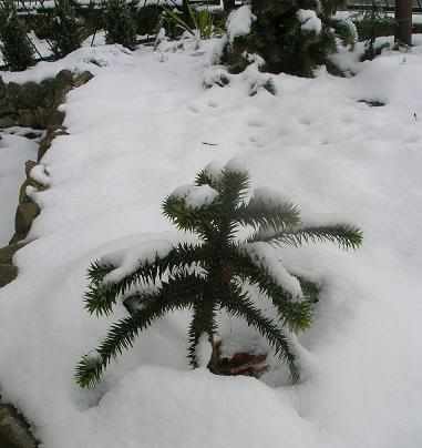 MOJA 1polowa listopada 2007a_2.jpg