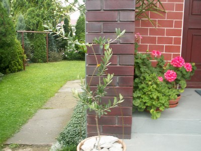 Pict0002.jpg