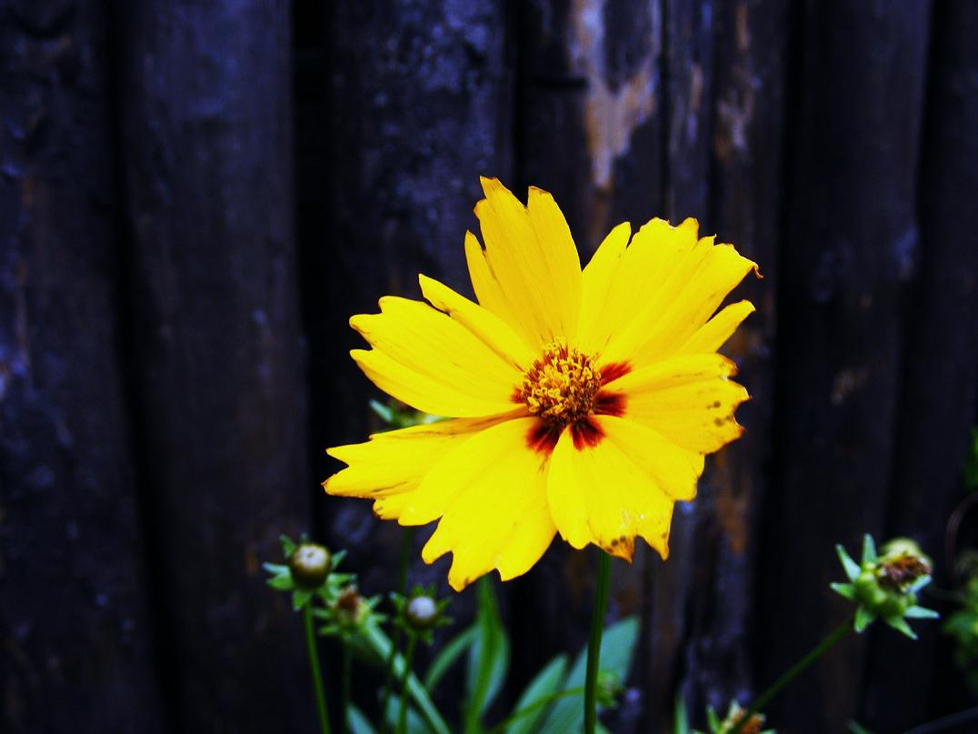 DSCF3067.JPG