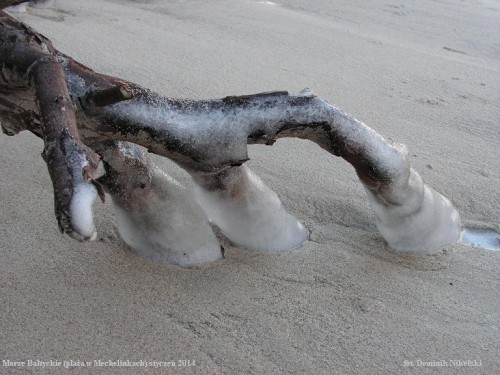 plaza w mechelinkach.JPG