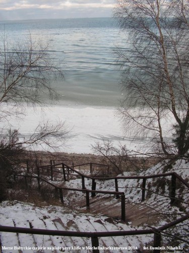 plaza w mechelinkach 4.JPG