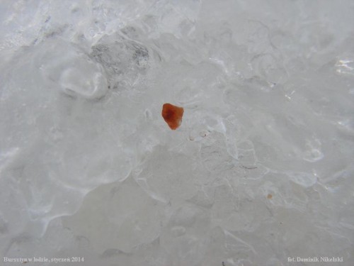 bursztyn w lodzie.JPG