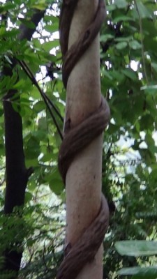 DSC00084 (Kopiowanie).JPG