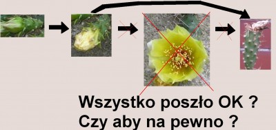 bez tytułu.JPG