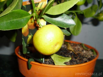 PB210109.JPG
