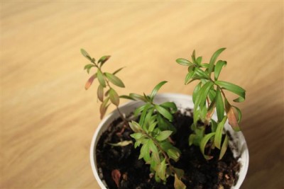 IMG_3104 (Small).jpg