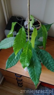 6475708_IMAG0131.jpg