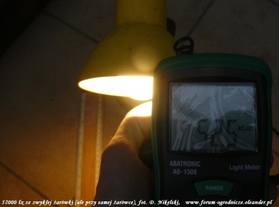 doświetlanie żarówką.JPG