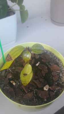 20170621_174530.jpg