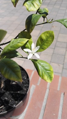 IMG_20170628_122820.jpg