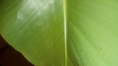 20200810_232541.jpg