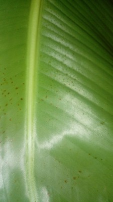 20200810_232457.jpg