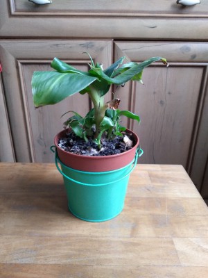 20201205_114538.jpg