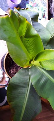 20201216_131930.jpg