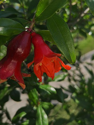 IMG_20210715_162434.jpg