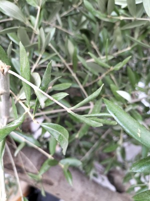 IMG20220419113355.jpg
