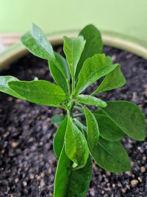 20220531_165310 (Copy).jpg