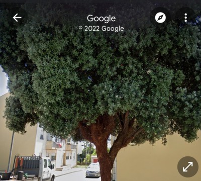 Screenshot_20220918-162705_Maps.jpg