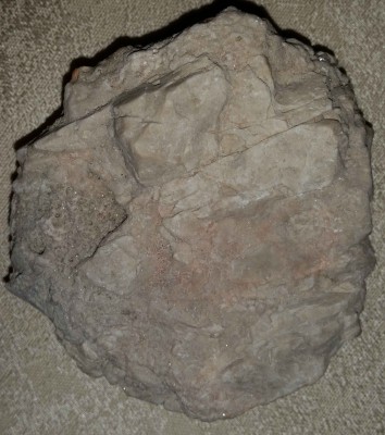 xKoralowiec z Dolomitów strona A.jpg