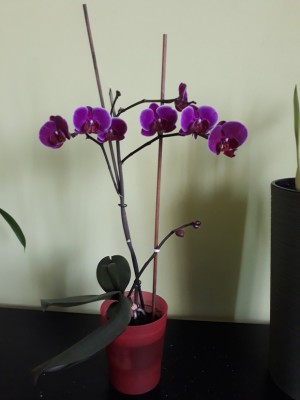 20200301_123443 — kopia.jpg